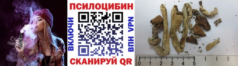 Псилоцибиновые грибы прущие грибы  Верхоянск 